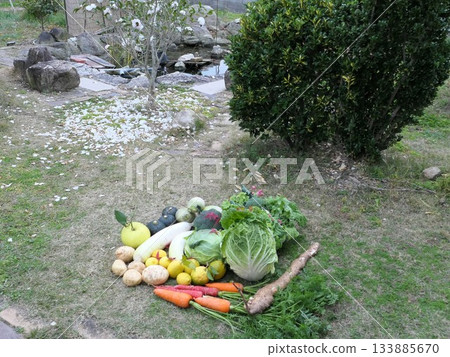 December Harvest 6 December Harvest 6 133885670