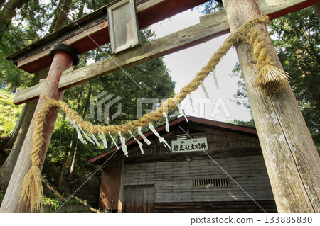 Jugosha Daimyojin Shrine 133885830