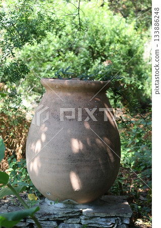 Beautiful large vase with green plant in the garden. Beautiful large vase with green plant in the garden. 133886248