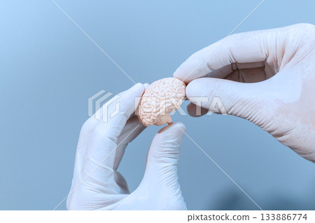 Tiny Anatomical Brain on Blue 133886774