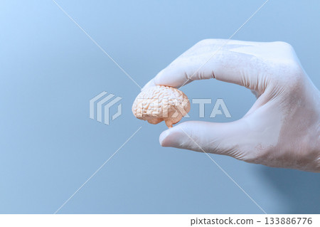 Medical Concept with Mini Brain 133886776