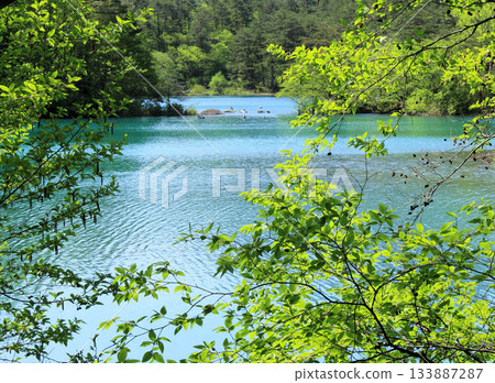 Goku-jima of Ue Bandai 133887287