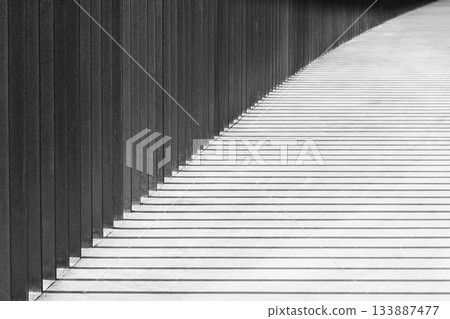 Diagonal and stripes pattern. Slanted lines texture. Modern abstract geometric striped background. 133887477