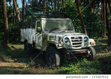 An abandoned rusty old vintage pick up truck vehicle with a worn out paint in a jungle 133887632