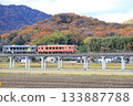 Ibara Railway in late autumn 133887788