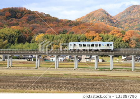 Ibara Railway in late autumn 133887790