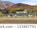 Ibara Railway in late autumn 133887791