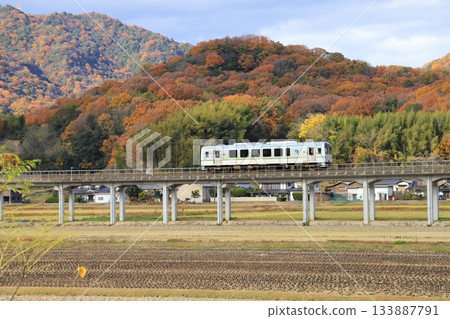 Ibara Railway in late autumn Ibara Railway in late autumn 133887791