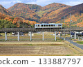 Ibara Railway in late autumn 133887797