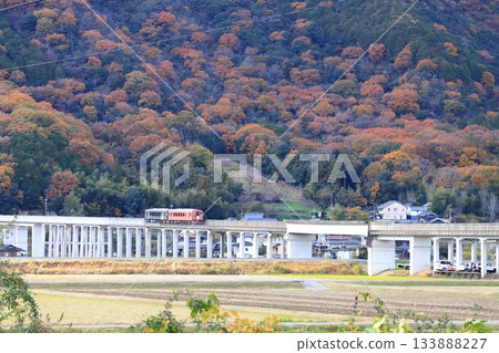Ibara Railway in late autumn 133888227