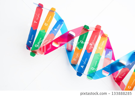 DNA or Deoxyribonucleic acid is a double helix chains structure formed by base pairs attached to a sugar phosphate backbone. 133888285