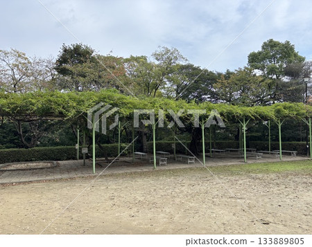 Kijo Park in Kariya City, Aichi Prefecture 133889805