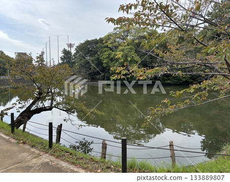 愛知縣刈谷市的紀城公園 愛知縣刈谷市的紀城公園 133889807