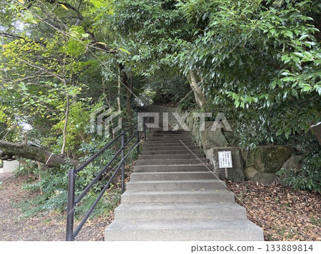 愛知縣刈谷市的紀城公園 愛知縣刈谷市的紀城公園 133889814