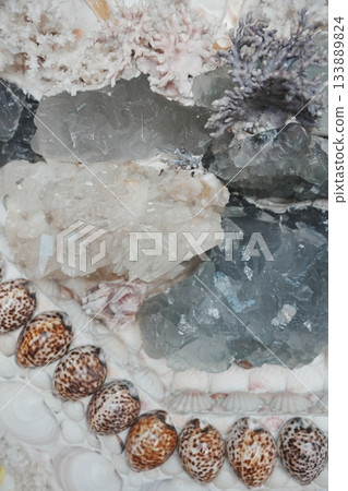 美得像龍宮！台灣三芝的隱密珊瑚貝寺 133889824