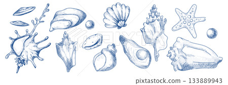 Vintage seashell sketch set with ocean icons 133889943