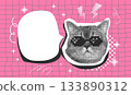 Halftone effect funny cat heads. Trendy retro y2k pet, funky emoticon animal, pop aesthetic. Meme head Punk collage made from elements. Cat, animal, pet from different angles, different poses,  133890312