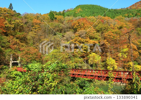 秋天夢想峽谷 133890341