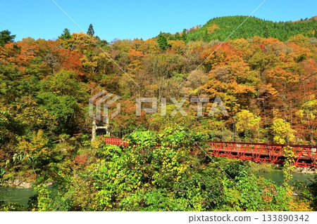 秋天夢想峽谷 133890342