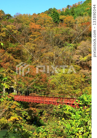 秋天夢想峽谷 秋天夢想峽谷 133890344