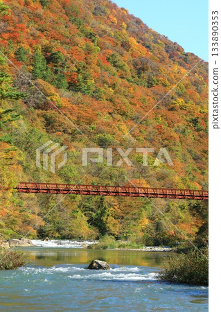 Autumn dreaming canyon 133890353