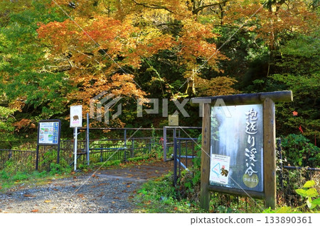 Autumn dreaming canyon 133890361
