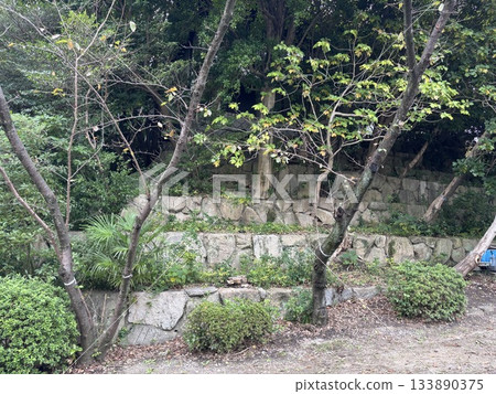 Kijo Park in Kariya City, Aichi Prefecture Kijo Park in Kariya City, Aichi Prefecture 133890375