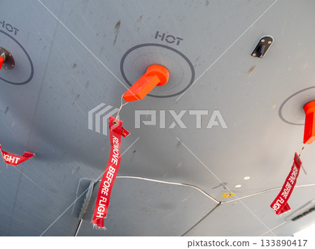 Remove before flight safety plugs under aircraft fuselage Remove before flight safety plugs under aircraft fuselage 133890417