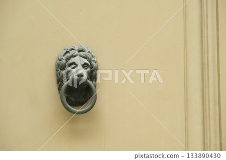 Ornate Vintage Wooden Door with Lion Head Door Knocker and Antique Handle. 133890430