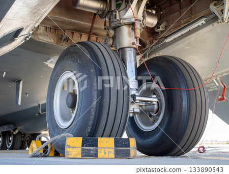 Aircraft main wheels and landing gear bay 133890543