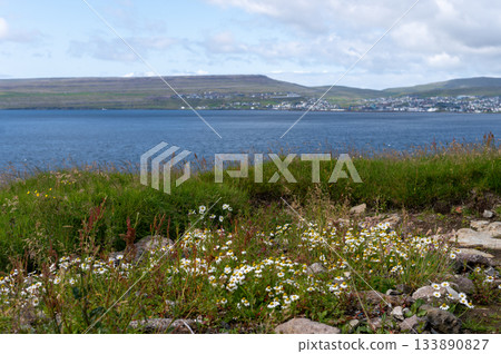 Low clouds hang over the remote Scandinavian island of Nolsoy in the Faroe Islands. Dramatic landscape of grass covered mountains and basalt columns along the coastline. High quality photo Low clouds hang over the remote Scandinavian island of Nolsoy in the Faroe Islands. Dramatic landscape of grass covered mountains and basalt columns along the coastline. High quality photo 133890827