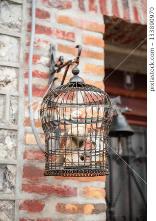 A small bird sits calmly inside a cage beside a rustic brick wall, bathed in warm light. The scene captures peace, simplicity, and the quiet beauty of everyday home life. High quality photo A small bird sits calmly inside a cage beside a rustic brick wall, bathed in warm light. The scene captures peace, simplicity, and the quiet beauty of everyday home life. High quality photo 133890970