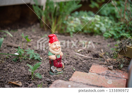 Whimsical Garden Gnome Statue with a Humorously Mischievous Expression in Outdoor Setting 133890972