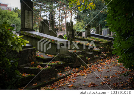 Ghent, Belgium - November 16 2024. Ancient cemetery tombs and grave stones on Campo Santo historical old graveyard in Sint-amandsberg municipality Ghent, Belgium - November 16 2024. Ancient cemetery tombs and grave stones on Campo Santo historical old graveyard in Sint-amandsberg municipality 133891038