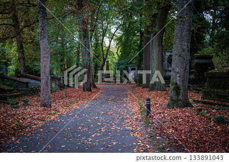 Ghent, Belgium - November 16 2024. Ancient cemetery tombs and grave stones on Campo Santo historical old graveyard in Sint-amandsberg municipality Ghent, Belgium - November 16 2024. Ancient cemetery tombs and grave stones on Campo Santo historical old graveyard in Sint-amandsberg municipality 133891043