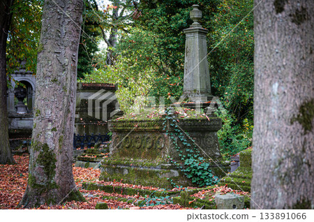 Ghent, Belgium - November 16 2024. Ancient cemetery tombs and grave stones on Campo Santo historical old graveyard in Sint-amandsberg municipality Ghent, Belgium - November 16 2024. Ancient cemetery tombs and grave stones on Campo Santo historical old graveyard in Sint-amandsberg municipality 133891066