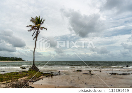 The beautiful Caju-una beach, by the Amazon river mouth, in Soure, Marajo island, Brazil. The beautiful Caju-una beach, by the Amazon river mouth, in Soure, Marajo island, Brazil. 133891439