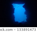 皮卡丘在海中 133891473