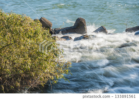 京都市伏見區，三須新井堰流出的水流湍急，匯入宇治川。 133891561