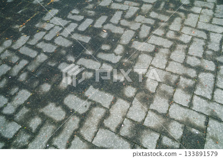 footway, sidewalk, ground 133891579