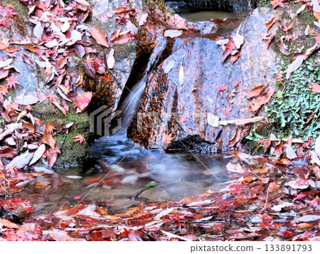 Downstream of Ishibutai, clear stream & gorge, nameless small waterfall: Osaka Prefectural Forest Downstream of Ishibutai, clear stream & gorge, nameless small waterfall: Osaka Prefectural Forest 133891793