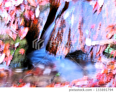 Downstream of Ishibutai, clear stream & gorge, nameless small waterfall: Osaka Prefectural Forest Downstream of Ishibutai, clear stream & gorge, nameless small waterfall: Osaka Prefectural Forest 133891794