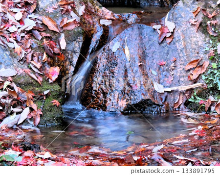 Downstream of Ishibutai, clear stream & gorge, nameless small waterfall: Osaka Prefectural Forest Downstream of Ishibutai, clear stream & gorge, nameless small waterfall: Osaka Prefectural Forest 133891795
