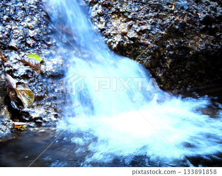 Downstream of Ishibutai, clear stream & gorge, nameless small waterfall: Osaka Prefectural Forest Downstream of Ishibutai, clear stream & gorge, nameless small waterfall: Osaka Prefectural Forest 133891858