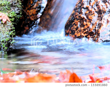 Downstream of Ishibutai, clear stream & gorge, nameless small waterfall: Osaka Prefectural Forest Downstream of Ishibutai, clear stream & gorge, nameless small waterfall: Osaka Prefectural Forest 133891860