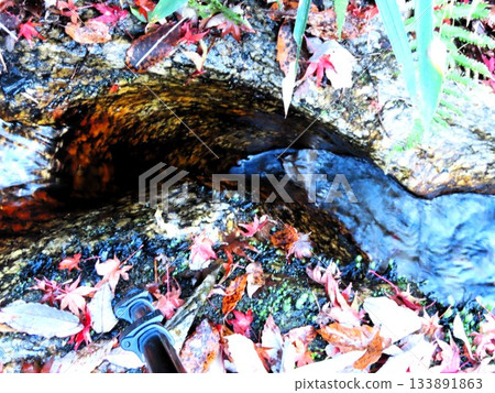 Downstream of Ishibutai, clear stream & gorge, nameless small waterfall: Osaka Prefectural Forest Downstream of Ishibutai, clear stream & gorge, nameless small waterfall: Osaka Prefectural Forest 133891863