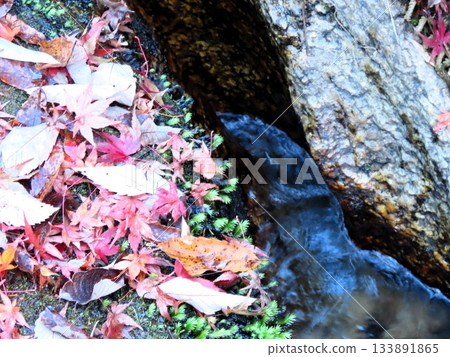 Downstream of Ishibutai, clear stream & gorge, nameless small waterfall: Osaka Prefectural Forest Downstream of Ishibutai, clear stream & gorge, nameless small waterfall: Osaka Prefectural Forest 133891865