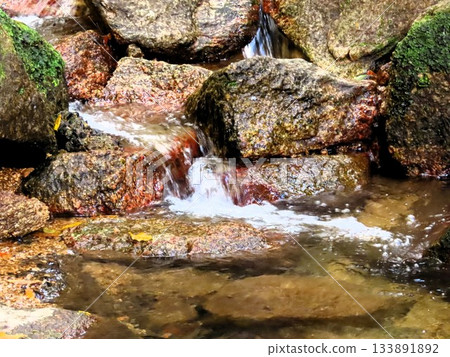 Downstream of Ishibutai, clear stream & gorge, nameless small waterfall: Osaka Prefectural Forest Downstream of Ishibutai, clear stream & gorge, nameless small waterfall: Osaka Prefectural Forest 133891892