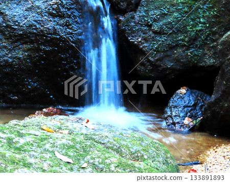 Downstream of Ishibutai, clear stream & gorge, nameless small waterfall: Osaka Prefectural Forest Downstream of Ishibutai, clear stream & gorge, nameless small waterfall: Osaka Prefectural Forest 133891893