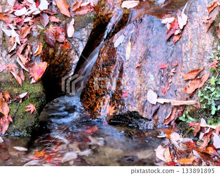 Downstream of Ishibutai, clear stream & gorge, nameless small waterfall: Osaka Prefectural Forest Downstream of Ishibutai, clear stream & gorge, nameless small waterfall: Osaka Prefectural Forest 133891895